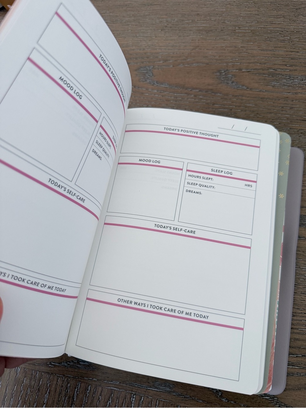 Erin Condren Petite Planner Wellness Bundle - Picture 3 of 13